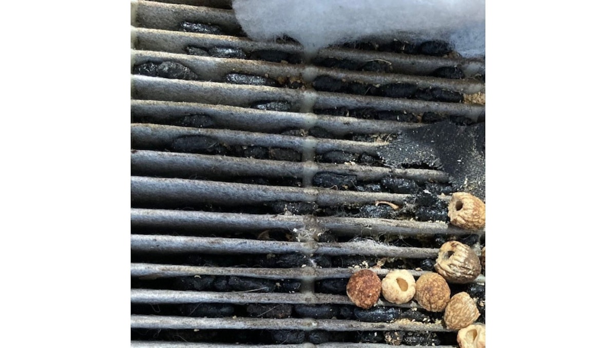 cabin air filter filled with debris